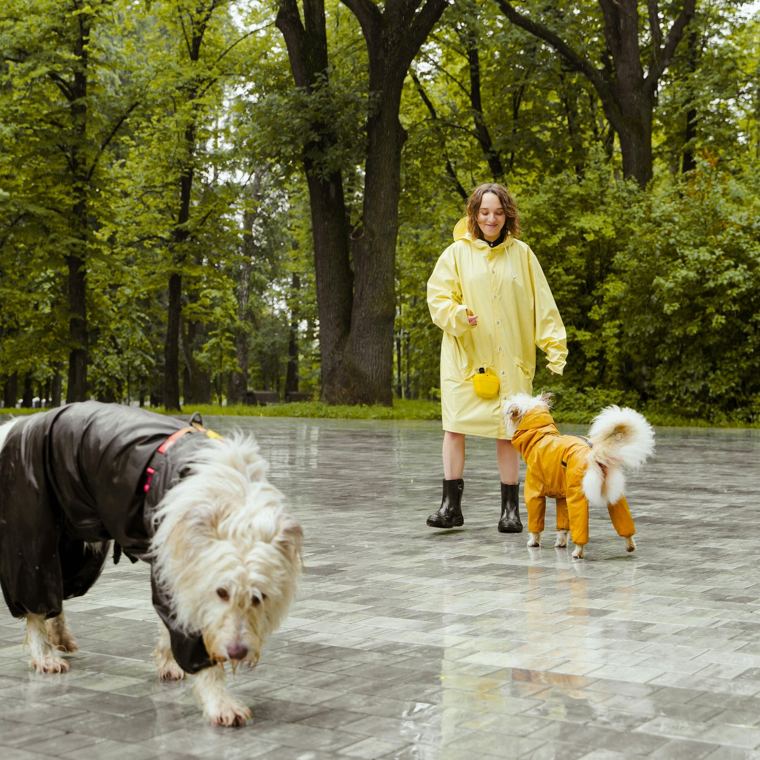 Pet Care & Supplies
